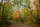 09-15-2021 Honeymoon Trail (5)-2