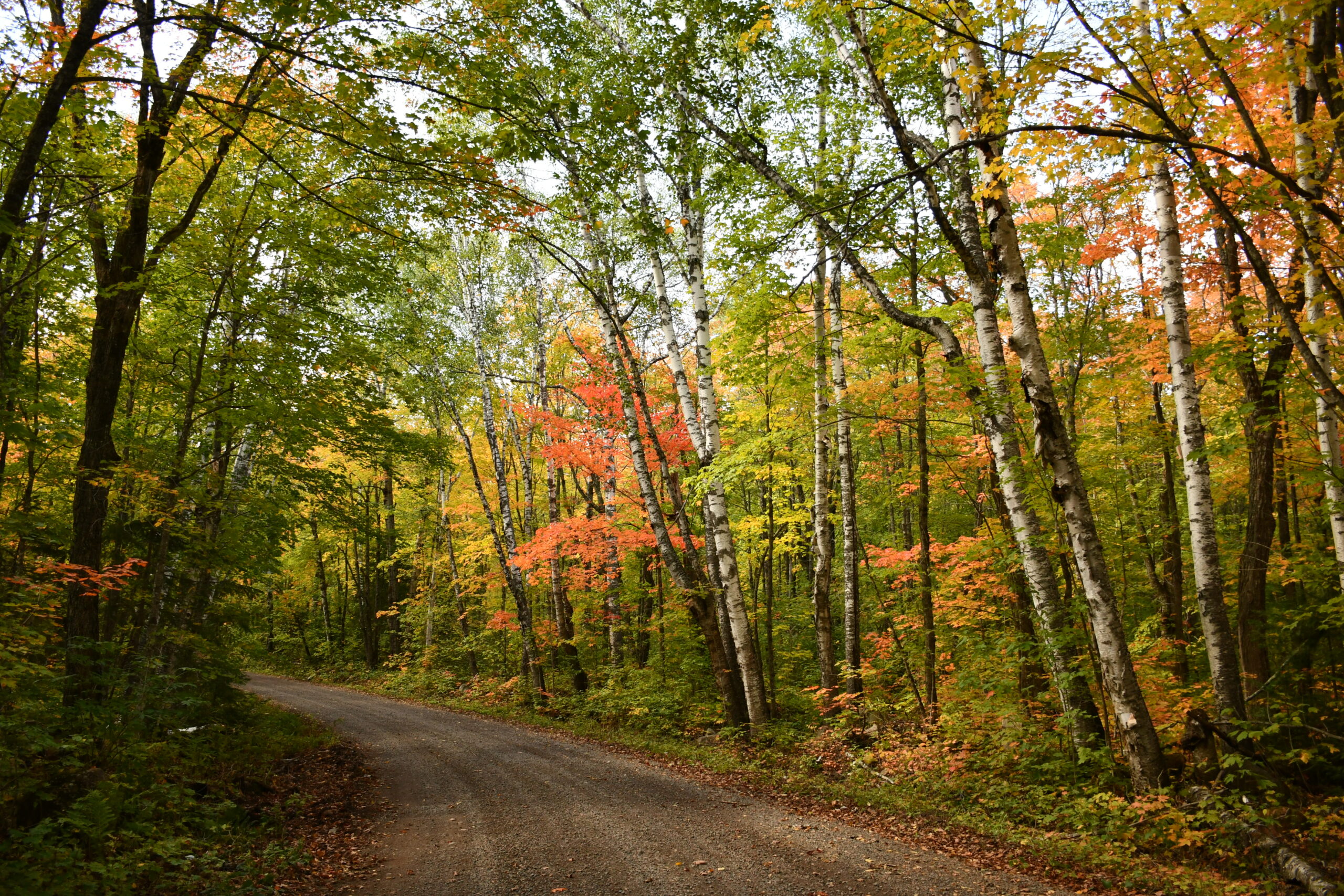 09-15-2021 Honeymoon Trail (5)-2